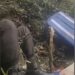 Beredar video helikopter yang ditumpangi Kapolda Jambi mendarat di hutan Kerinci. Foto: Tangkapn layar