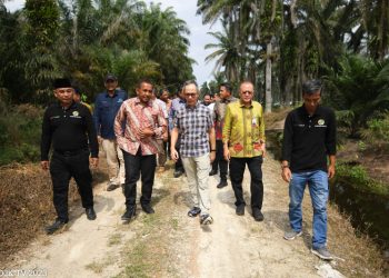 OJK turun lansung beri bantuan pendanaan kepada petani sawit. Foto: Humas OJK