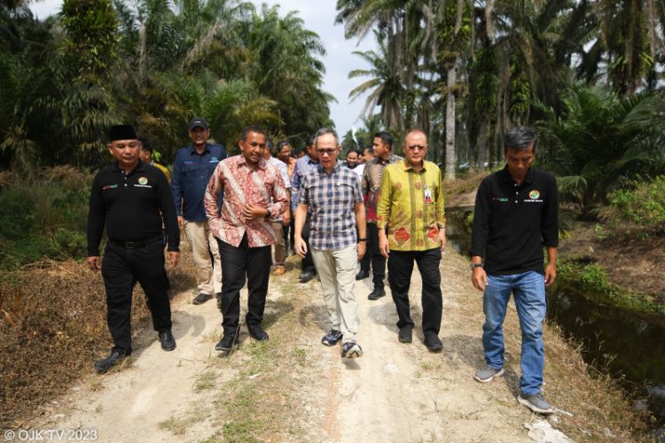 OJK turun lansung beri bantuan pendanaan kepada petani sawit. Foto: Humas OJK