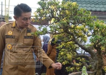 Pj Bupati Muaro Jambi Buka Kontes dan Pameran Bongsai PPBI -CMJ Ranting Sekernan di area kantor camat sekernan, Selasa (14/02/2023). (Dok. Kominfo)