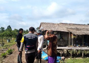 Seorang nenek berusia 60 tahun warga Parit 03, Desa Siau Dalam, Kecamatan Muara Sabak Timur, Kabupaten Tanjung Jabung Timur (Tanjab Timur), Jambi diterkam buaya/ Foto: SN/Ampar