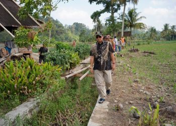 Ketua DPRD Bengkulu Selatan Turun Lapangan Cek Saluran Irigasi yang Rusak. Foto: Jp/ Ampar