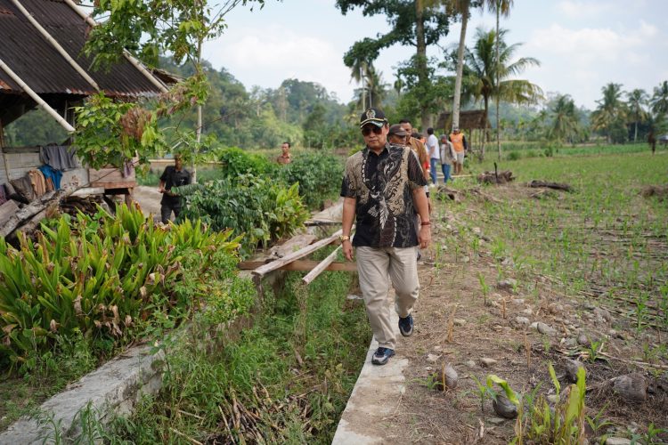 Ketua DPRD Bengkulu Selatan Turun Lapangan Cek Saluran Irigasi yang Rusak. Foto: Jp/ Ampar