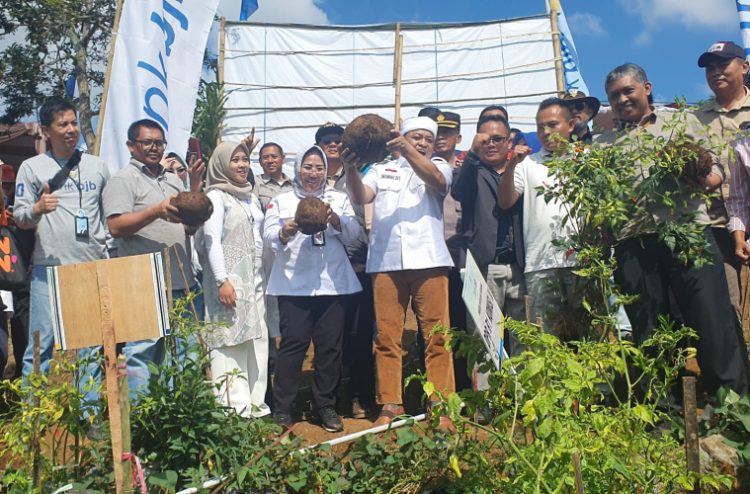 Direktur Pembiayaan Pertanian Indah Megahwati Panen Porang di Garut/ Foto: dok.Kementerian Pertanian