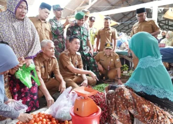 (Dok Kominfo Muaro Jambi)