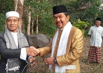 Ketua DPRD Sarolangun Serahkan Tiga Hewan Qurban Untuk Masyarakat/ Foto: Fdn/ampar