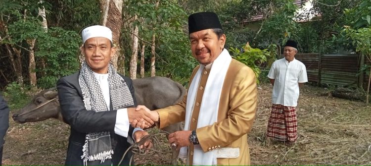 Ketua DPRD Sarolangun Serahkan Tiga Hewan Qurban Untuk Masyarakat/ Foto: Fdn/ampar