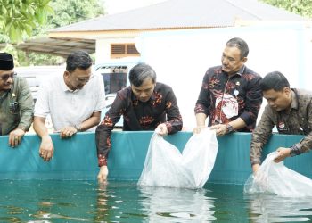 Edi Purwanto Serahkan 40 Ribu Benih Ikan Lele ke Pokdakan di Thehok/ Foto: Juan