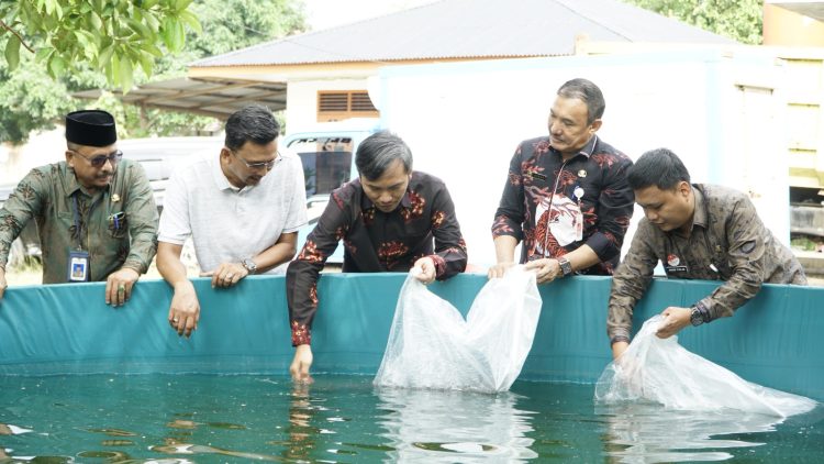 Edi Purwanto Serahkan 40 Ribu Benih Ikan Lele ke Pokdakan di Thehok/ Foto: Juan