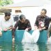 Edi Purwanto Serahkan 40 Ribu Benih Ikan Lele ke Pokdakan di Thehok/ Foto: Juan