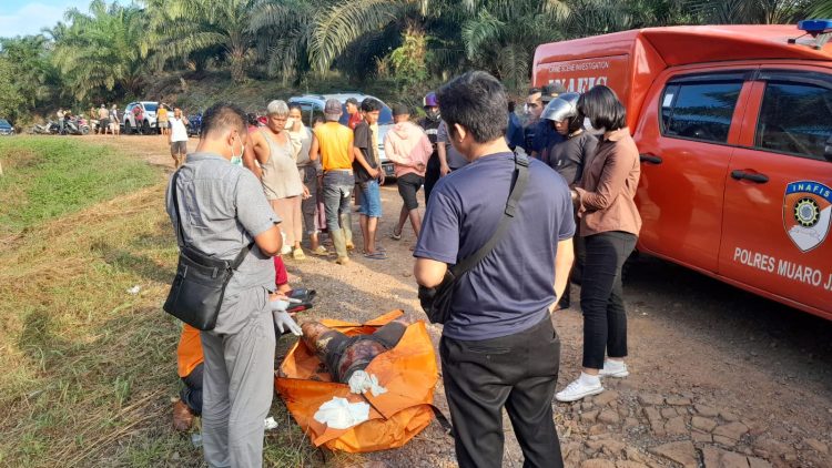 Warga Jambi Temukan Mayat Tanpa Identitas
/ Foto: mhd/ampar