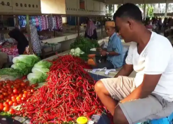 PEdagang Cabai di Pasar  Muara Sabak Timur , Jambi (28/10)/ Foto: Otoy