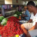 PEdagang Cabai di Pasar  Muara Sabak Timur , Jambi (28/10)/ Foto: Otoy