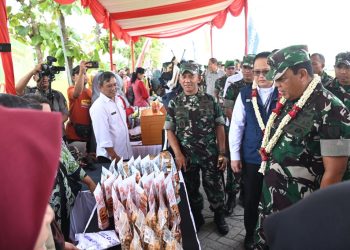 Mayjen Farid Makruf Apresiasi Ketahanan Pangan di Ngawi/ Foto: Kepala Penerangan Kodam V/Brawijaya, Kolonel Arm Adekson