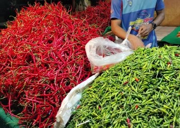 Harga cabai meroket di pasar Angso duo baru Jambi/ (Foto: Juanda/ampar)