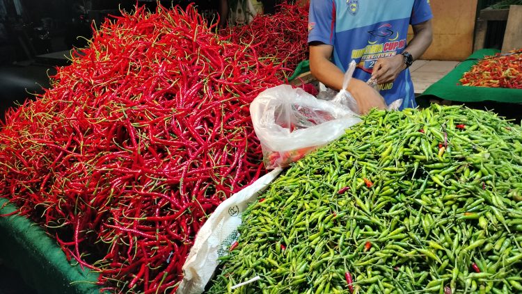 Harga cabai meroket di pasar Angso duo baru Jambi/ (Foto: Juanda/ampar)