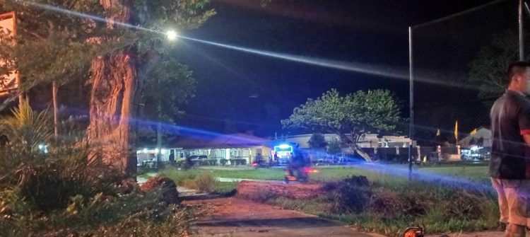 DLH Gerak Cepat Evakuasi Pohon Tumbang di Laman Besamo/ foto: fdn/ampar