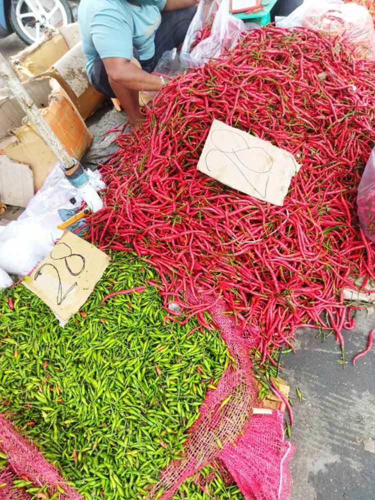 Harga Cabai Merah dan Rawit di Jambi Terpantau Normal/ (Foto: Nda/Ampar)