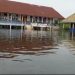 Siswa Diliburkan, Puluhan Sekolah Paud SD dan SMP di Muaro Jambi Terendam Banjir/ (Foto: SFN/Ampar)