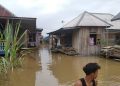 Ribuan Rumah di Kota Jambi Terdampak Banjir/ (Foto; SFN/Ampar)