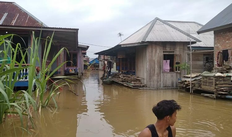 Ribuan Rumah di Kota Jambi Terdampak Banjir/ (Foto; SFN/Ampar)