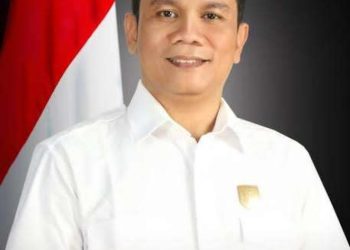 Anggota DPRD Provinsi Bengkulu, Jonaidi. (Foto: Dky/Ampar)