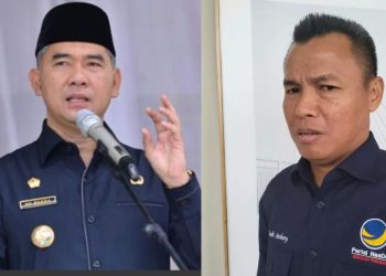 Fasha Salip Incumbent, Perolehan Suara Caleg Nasdem DPR RI Dapil Jambi Versi KPU/ (foto: ampar)