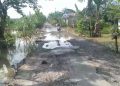 Diterjang Banjir, Puluhan KM Ruas Jalan Berbak Rusak Parah/ foto: ampar