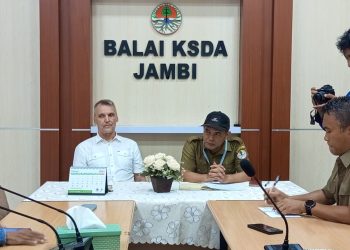 Kepala BKSDA Jambi Buka Suara Pasca Penyerangan oleh Warga/ (Foto: Mhd/ampar)