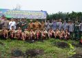 Wagub Robby Hadiri Penanaman Pohon Serentak Bersama Kodim 0419/Tanjab/ Foto: Min