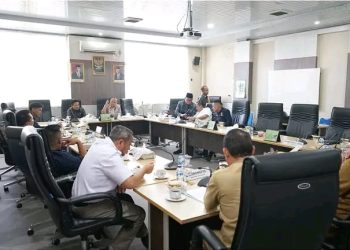 https://ampar.id/dprd-muba-gelar-rdp-dengan-pemkab-terkait-sinkronisasi-perencanaan-program-prioritas-pembangunan-2025/
/ Foto: Nuaria-ampar