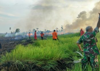PetroChina Bergerak Cepat Turut Padamkan Karhutla di Tanjab Barat/ Foto: melani