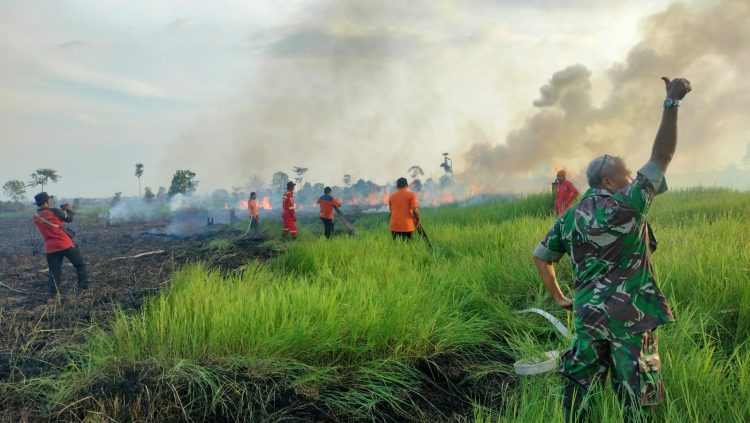 PetroChina Bergerak Cepat Turut Padamkan Karhutla di Tanjab Barat/ Foto: melani