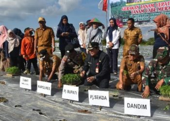 Pj Bupati Sarolangun Bachril Bakri Tanam Cabe Di Desa Ujung Tanjung/ Foto: Fdn-ampar