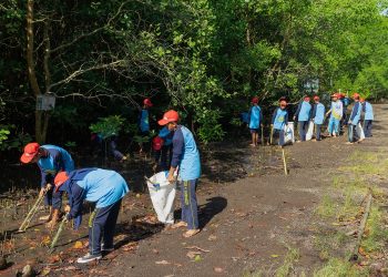 Peringati Hari Lingkungan Hidup Sedunia, Yayasan AHM Tanam Puluhan Ribu Mangrove/ Foto: Sinsen