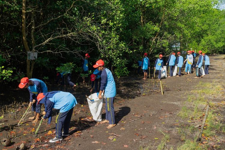 Peringati Hari Lingkungan Hidup Sedunia, Yayasan AHM Tanam Puluhan Ribu Mangrove/ Foto: Sinsen