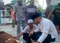 Anggota DPRD Rendra Usman Kurban Simental Buat Disembelih Warga Tanjab Barat/ Foto: Hadian