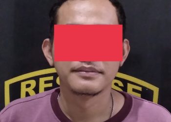 Pelaku DT saat diamankan Polisi/ Foto: mhd-ampar