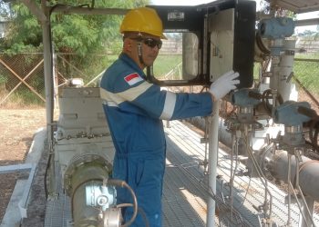 SKK Migas Tetapkan Standarisasi Pengukuran CO2 Pada Program CCS/CCUS/ (Foto: Tania-SKK Migas)