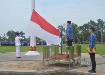 Pj Bupati Muaro Jambi Pimpin Upacara HKN 2024 20 Mei 2024