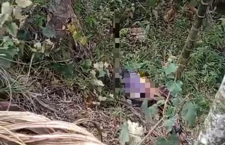 Warga Jembi Kecil Dihebohkan dengan Penemuan Sesosok Mayat Perempuan di Kebun Karet/ foto/ mhd/ampar