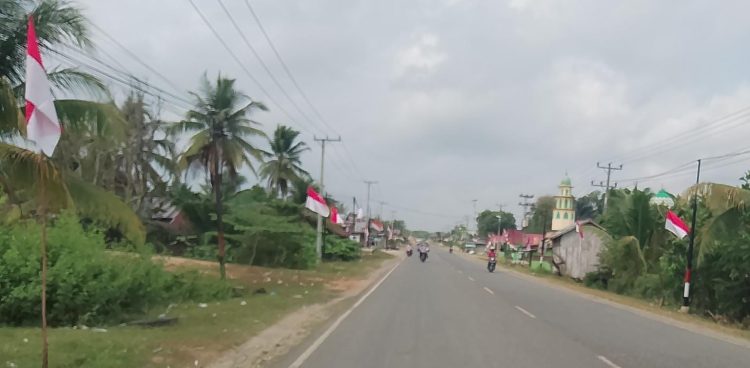 Semarak HUT ke 79 RI, 200 Bendera Merah Putih Berkibar Disepanjang Jalan Lintas Sumatera/ foto/ fdn/ ampar