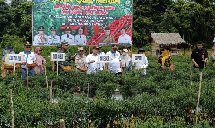 Penguatan Pangan, Gubernur Jambi Gelontorkan Rp 10,8 Miliar