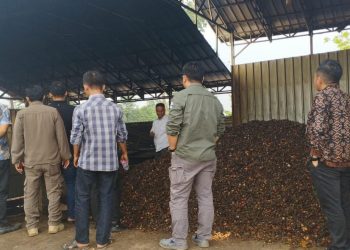 Tim OPD Pemkab Sarolangun Turun Cek PKS Mini Diduga Tak Berizin/ foto/ fdn/ ampar