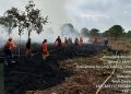 Terungkap! Kebakaran di Kabupaten Tanjung Jabung Timur Lahap Lahan Kelompok Tani, PetroChina Sigap Lakukan Pemadaman