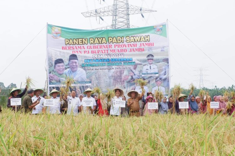 PJ Bupati Muaro Jambi Secara Langsung Ikut Panen Padi Bersama Petani di Desa Kedotan