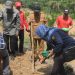 Pj Bupati Merangin Tanam Padi Tumpang Sisip di Lahan Replanting Sekaligus Pamen Cabai Cegah Inflasi