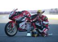 Andalkan Performa CBR250RR, Pebalap Astra Honda Siap Melesat Kencang di Final ARRC Buriram/ istimewa