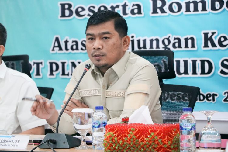 - Anggota Komisi XII DPR RI dapil Jambi, Rocky Candra berkunjung ke kantor PT PLN (Persero) UP3 Jambi dalam rangka Reses Masa Persidangan I tahun 2024-2025, Kamis (19/12/2024)/ foto/ ampar