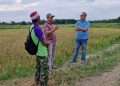 Dukung Swasembada Pangan, Anggota DPRD Provinsi Jambi Muhammad Nasir Apresiasi Semangat Poktan di Kota Jambi Kelola Sawah/ foto/  humas DPRD Jambi